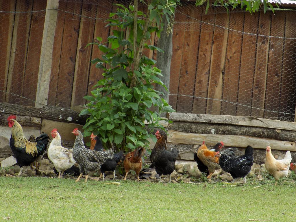 Rancho Hostal La Escondida Eco Park Teopisca Exteriér fotografie