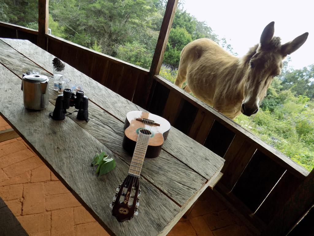 Rancho Hostal La Escondida Eco Park Teopisca Exteriér fotografie